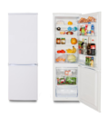 Холодильник Daewoo Electronics RN-401
