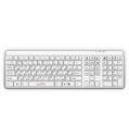 Клавиатура Oklick 560 S Multimedia Keyboard